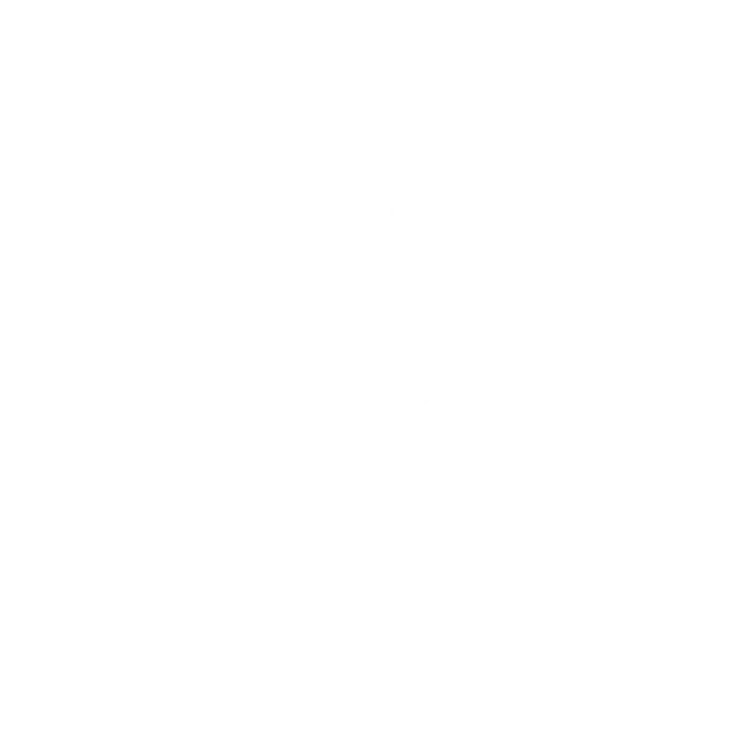DMC